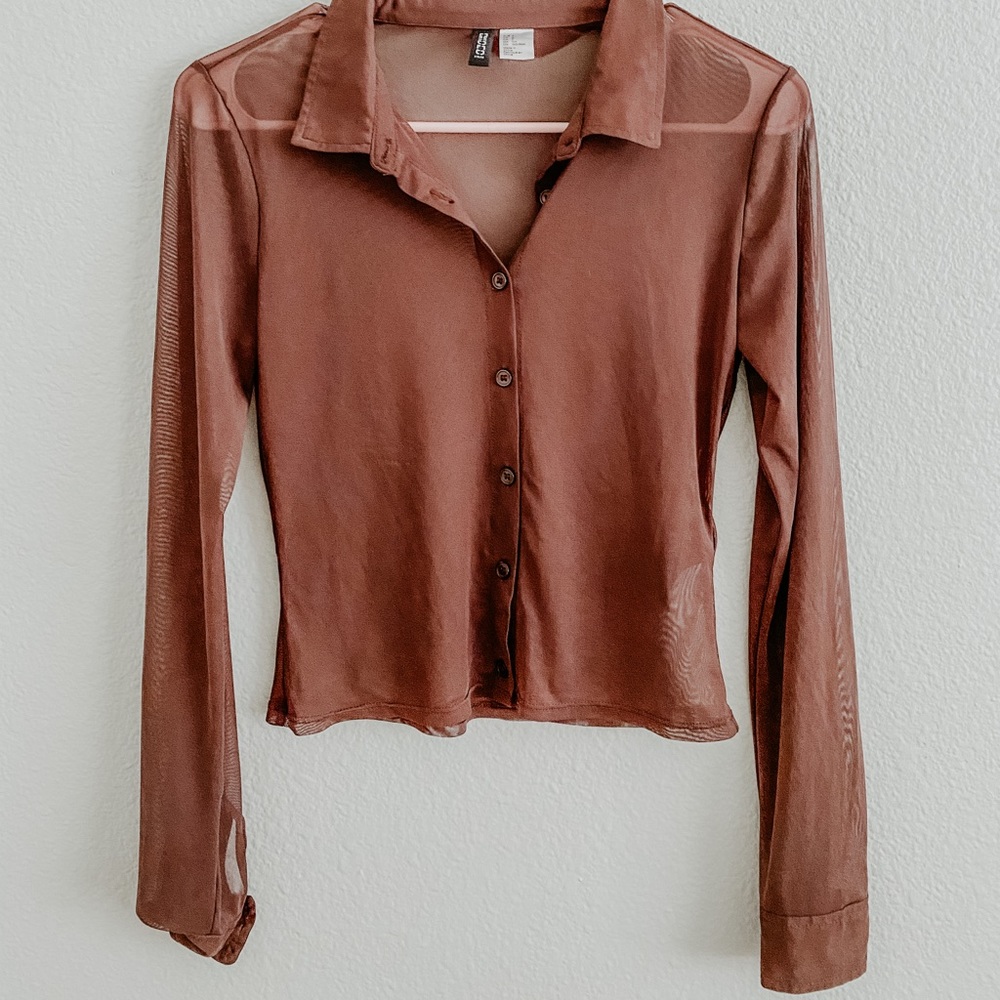 Sheer brown top